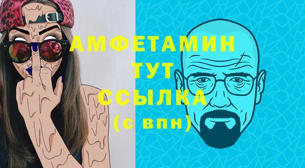 прущие грибы Аркадак