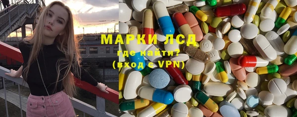прущие грибы Аркадак