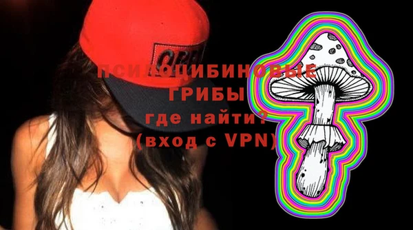 тгк Арсеньев