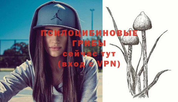 тгк Арсеньев