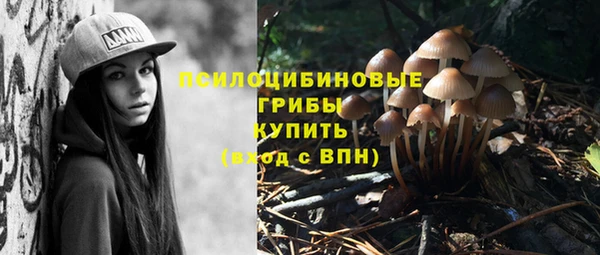 ALPHA-PVP Армянск
