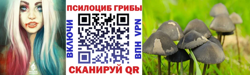 Галлюциногенные грибы Psilocybine cubensis  магазин продажи наркотиков  kraken рабочий сайт  даркнет официальный сайт  Лахденпохья 